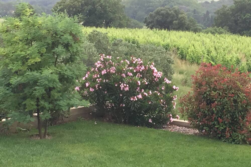 Photo of Outdoor in Magalas