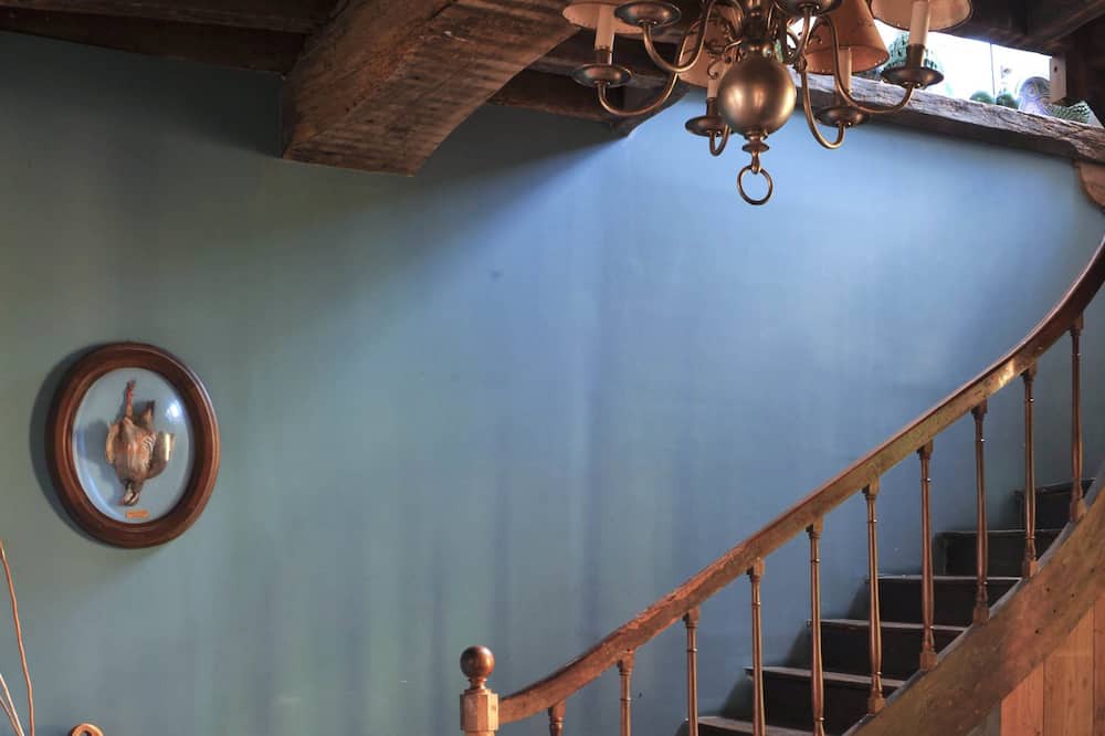 Photo of Others in Saint-Fargeau