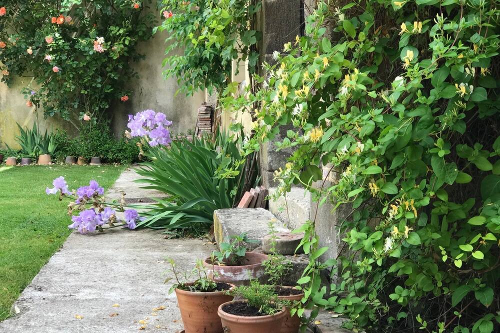 Photo of Outdoor in Saint-Fargeau