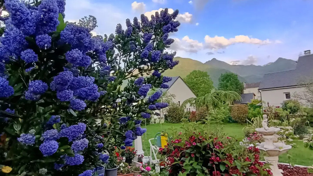 Photo of Outdoor in Adast