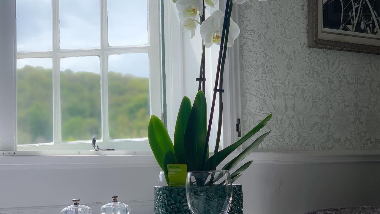 Photo of Others in Ironbridge