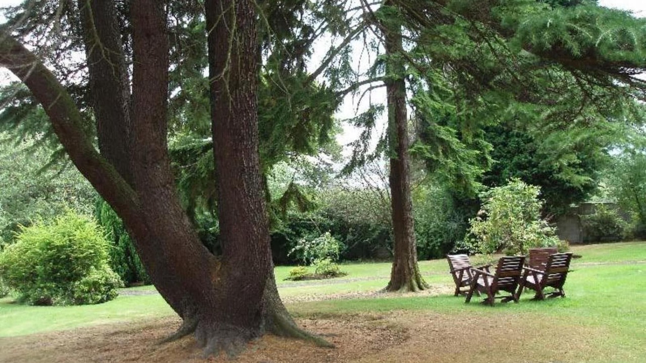 Photo of Others in Alloa