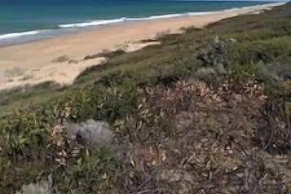 Photo of Others in Golden Beach