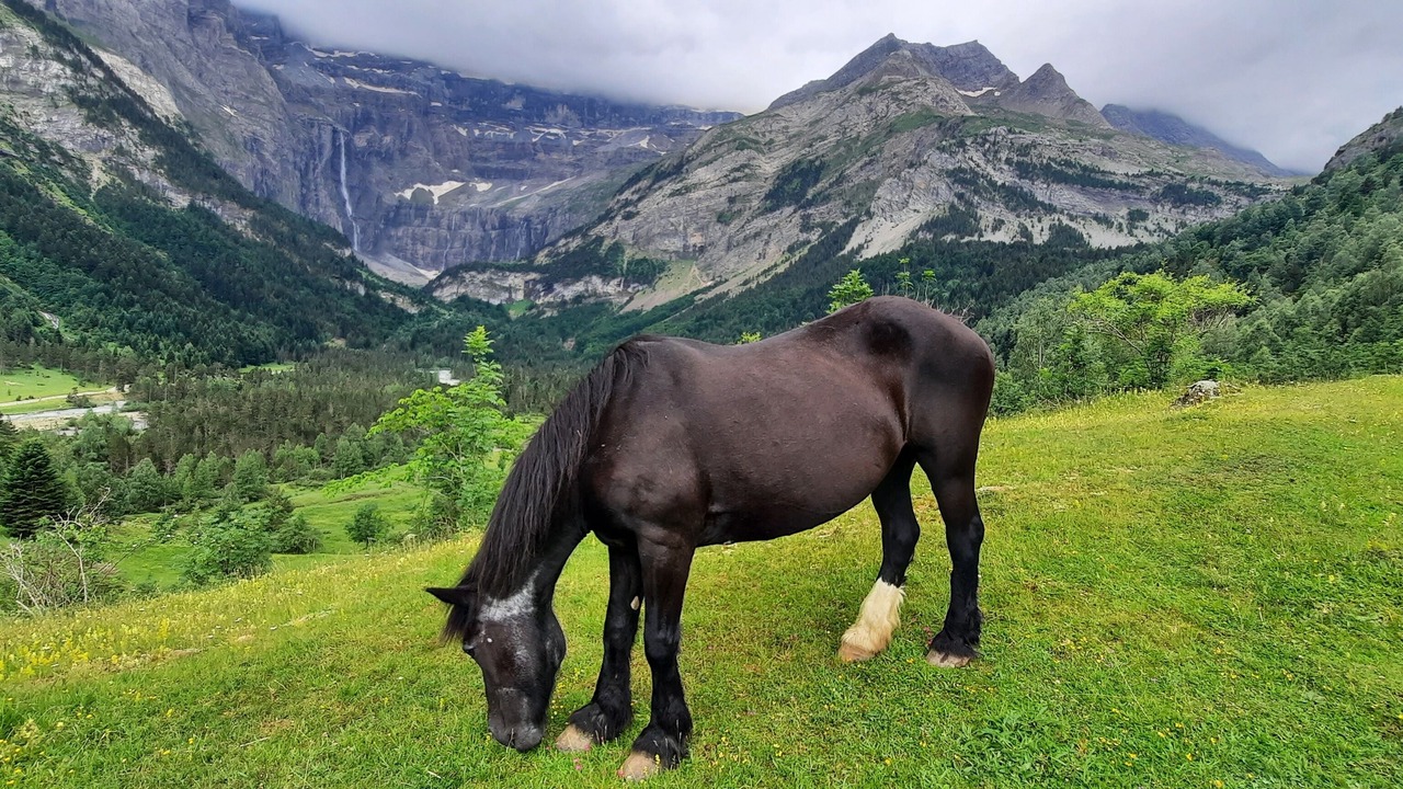 Photo of Others in Gavarnie-Gedre