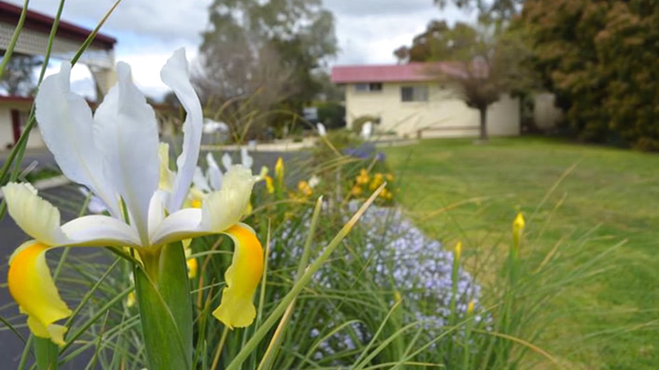 Photo of Outdoor in Seymour