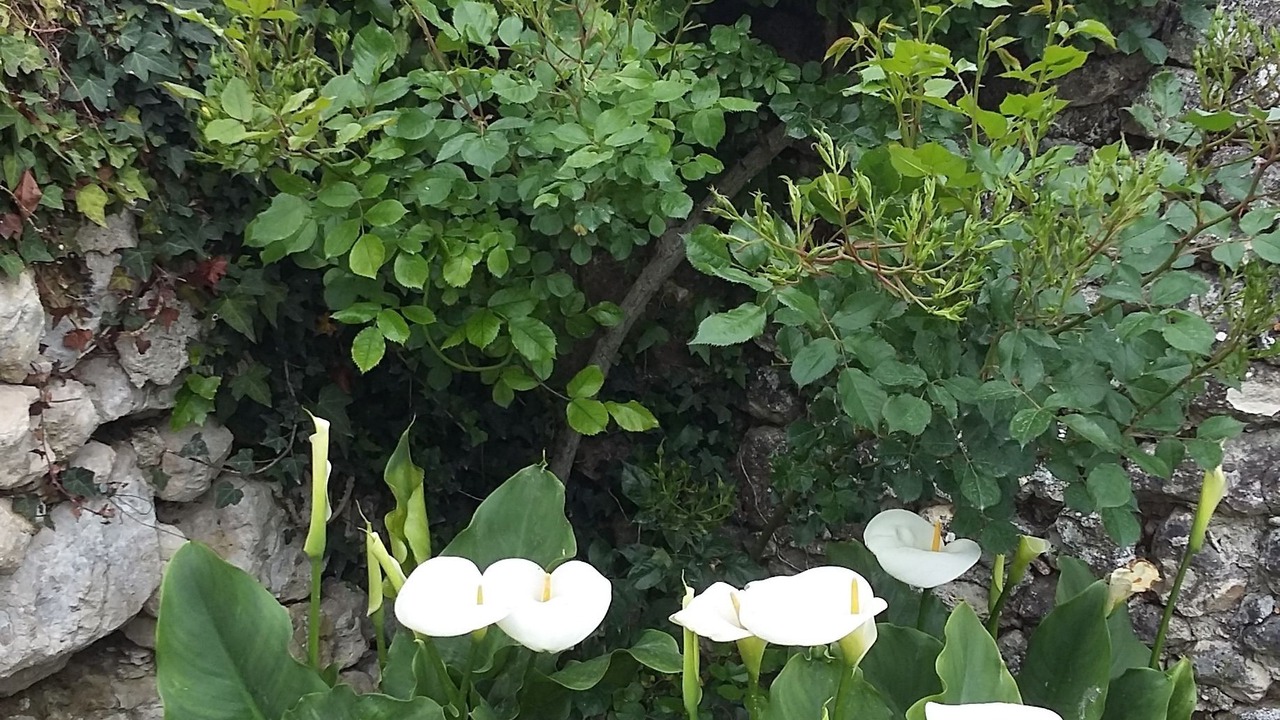 Photo of Outdoor in Villetoureix