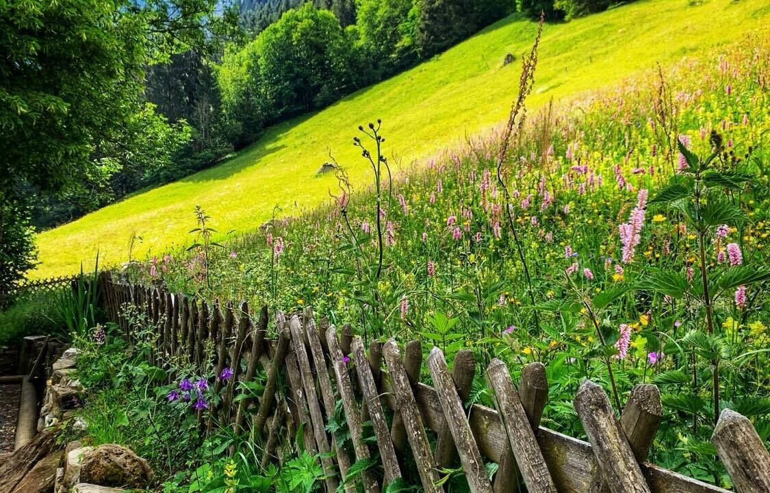 Photo of Outdoor in Champery