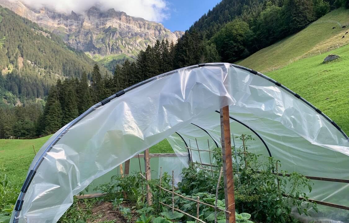 Photo of Outdoor in Champery