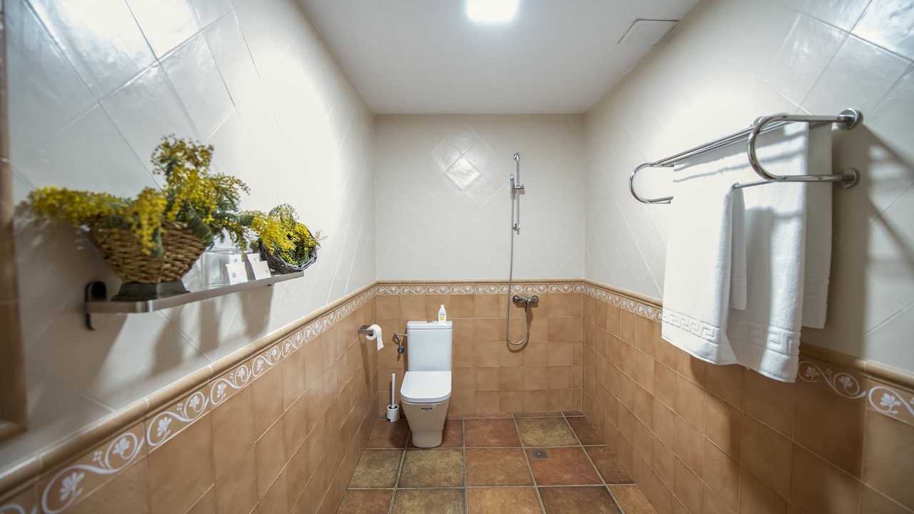 Photo of Bathroom in Los Navalucillos