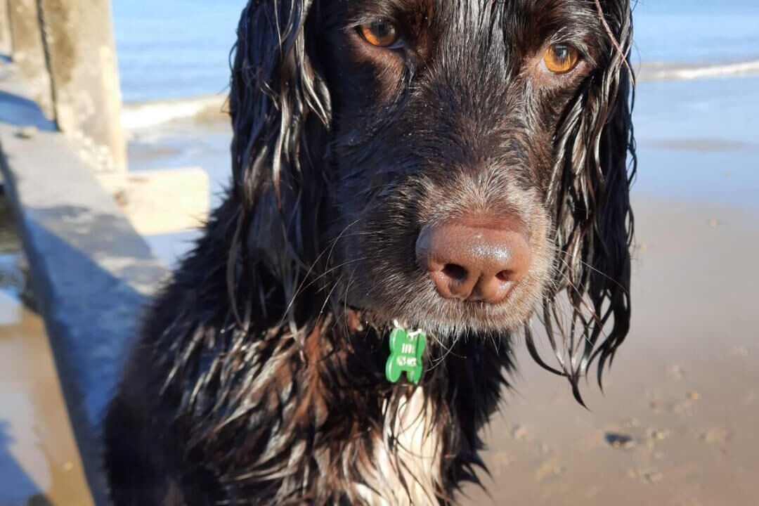 Photo of Others in Neatishead