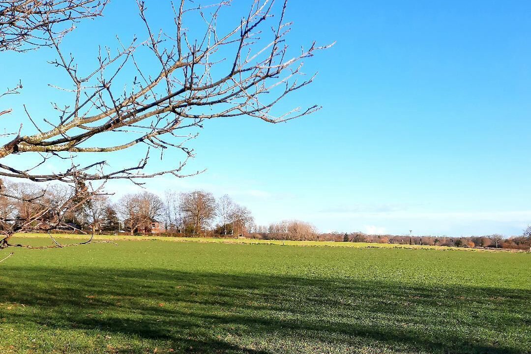 Photo of Others in Neatishead