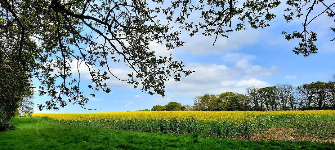 Photo of Others in Neatishead