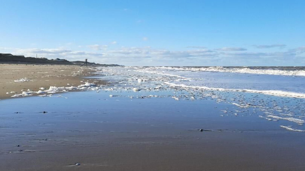 Photo of Others in Neatishead