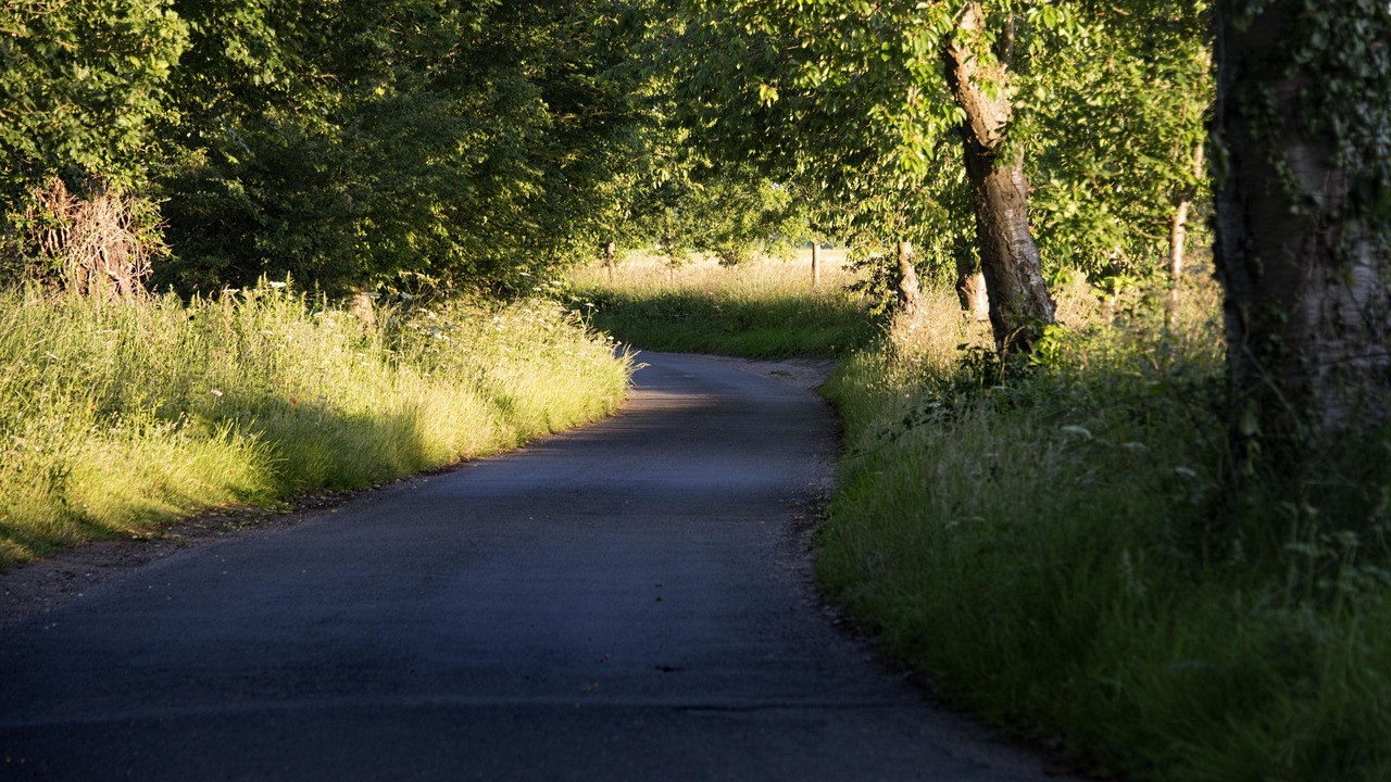 Photo of Outdoor in Neatishead