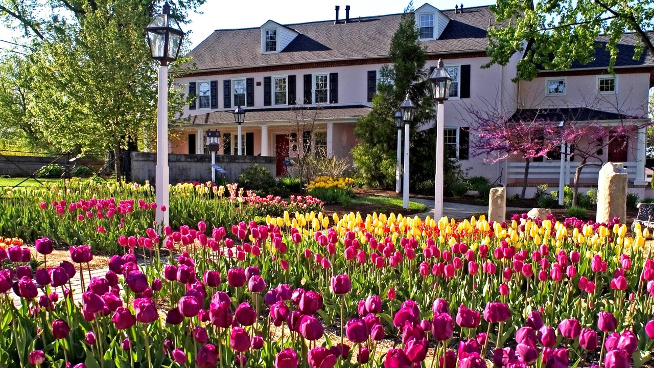 Photo of Outdoor in Montchanin