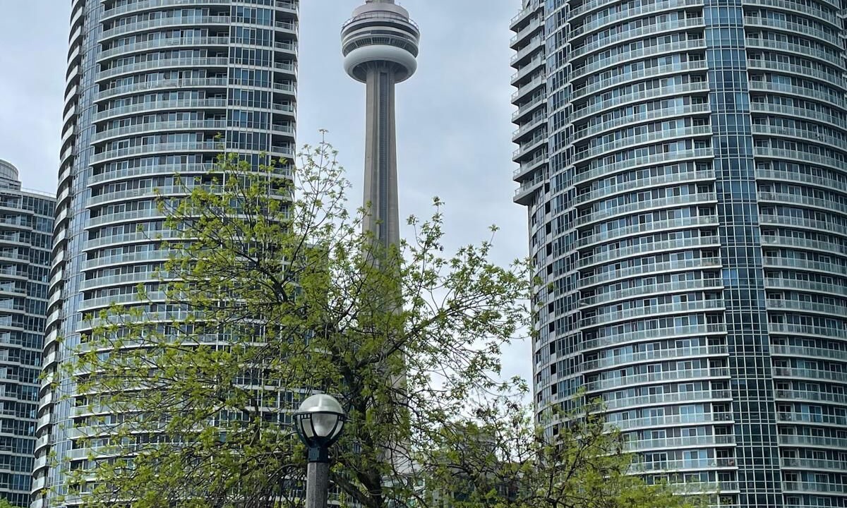 Photo of Others in Trinity - Bellwoods