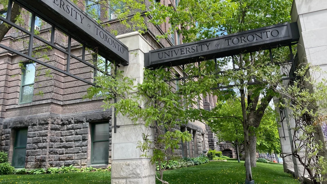 Photo of Others in Trinity - Bellwoods