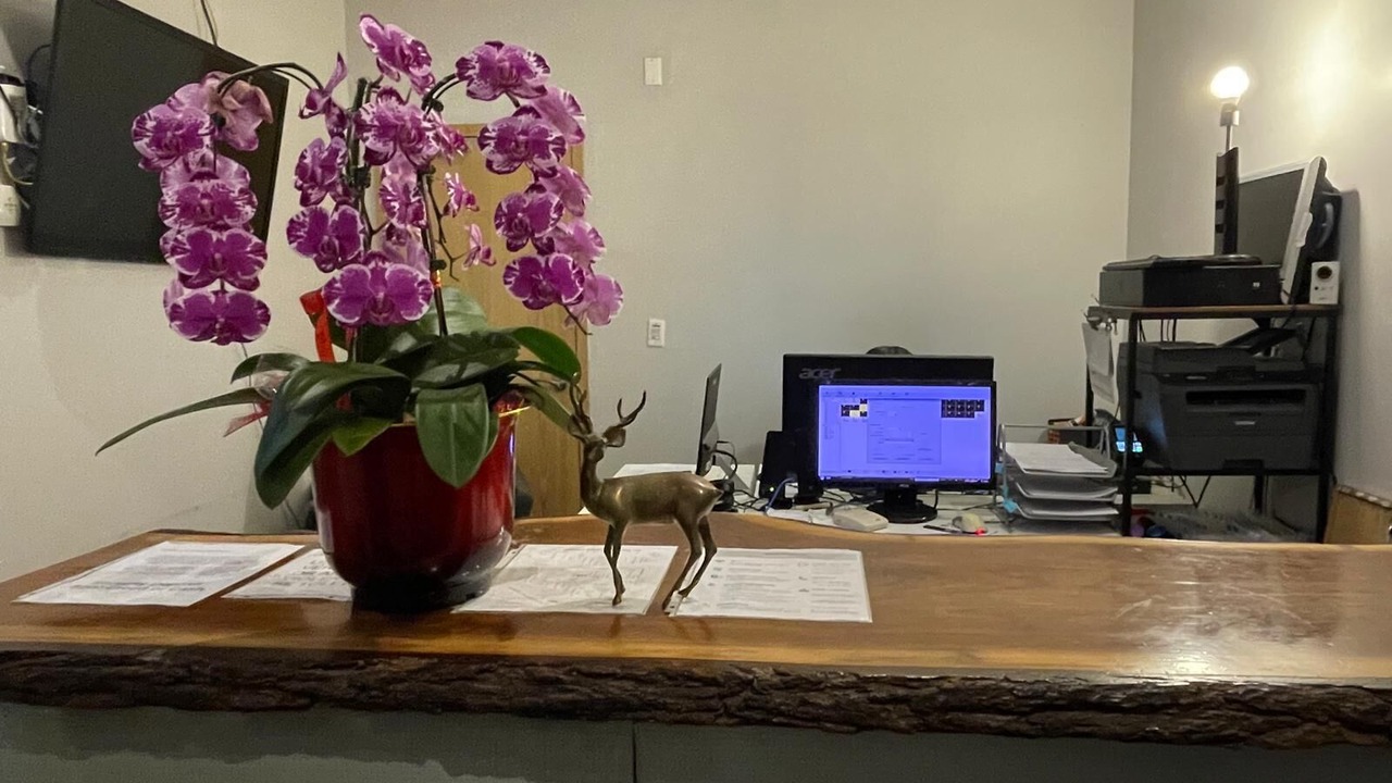 Photo of Others in Trinity - Bellwoods