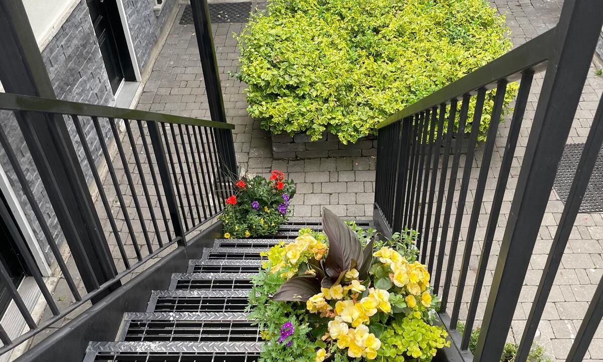 Photo of Outdoor in Trinity - Bellwoods