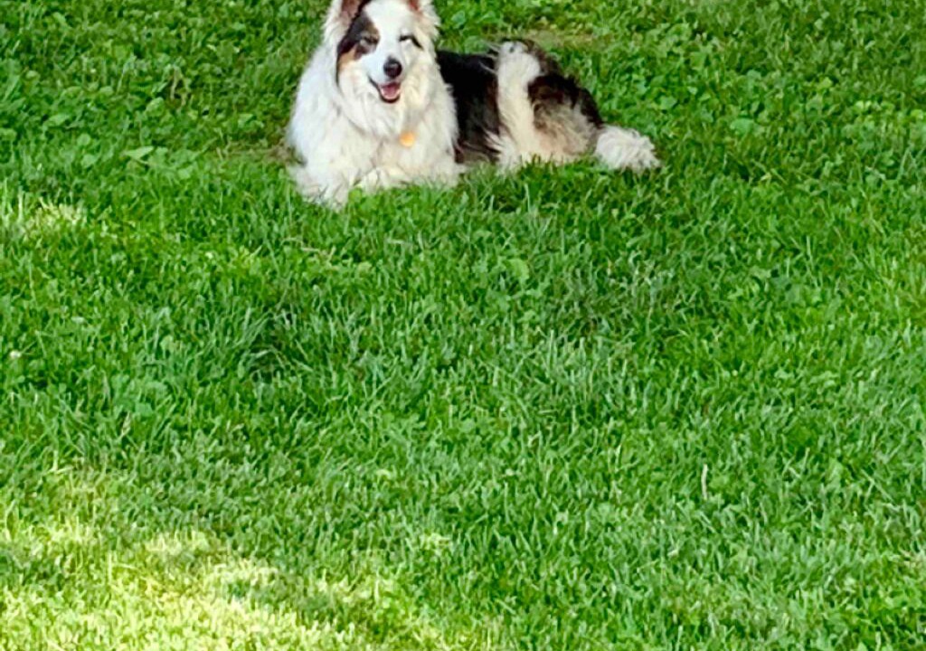 Photo of Outdoor in Madison