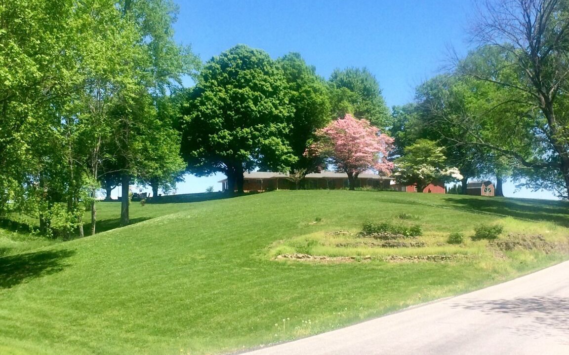 Photo of Outdoor in Madison