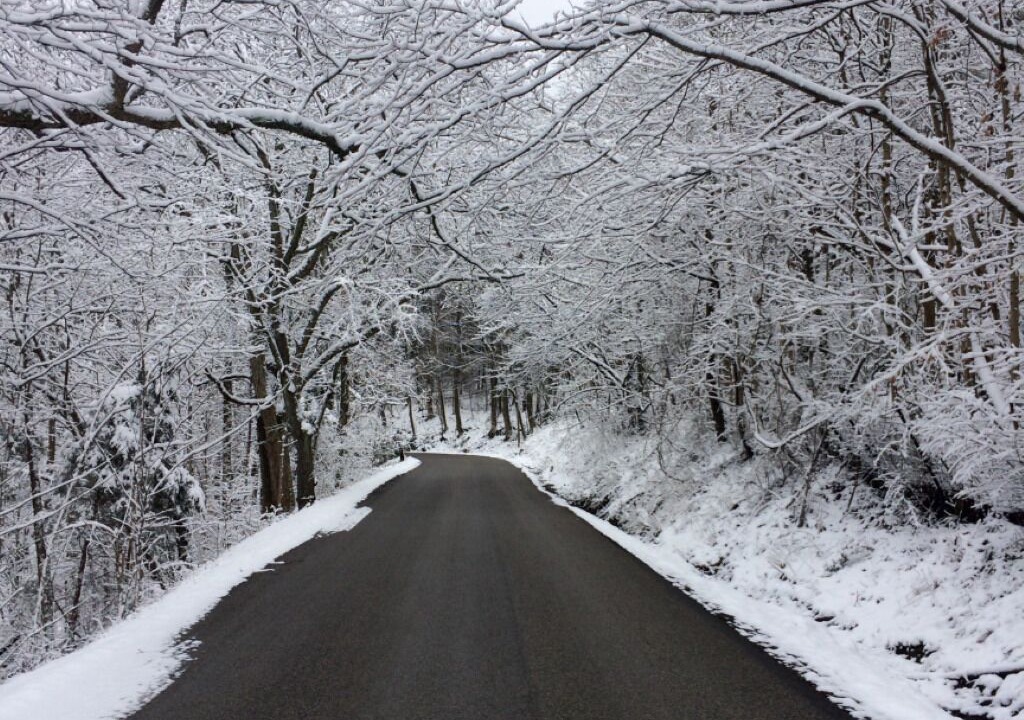 Photo of Outdoor in Madison