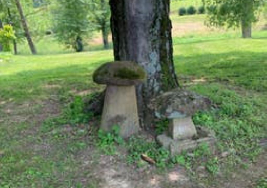 Photo of Outdoor in Madison