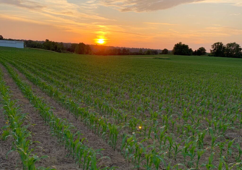 Photo of Outdoor in Madison