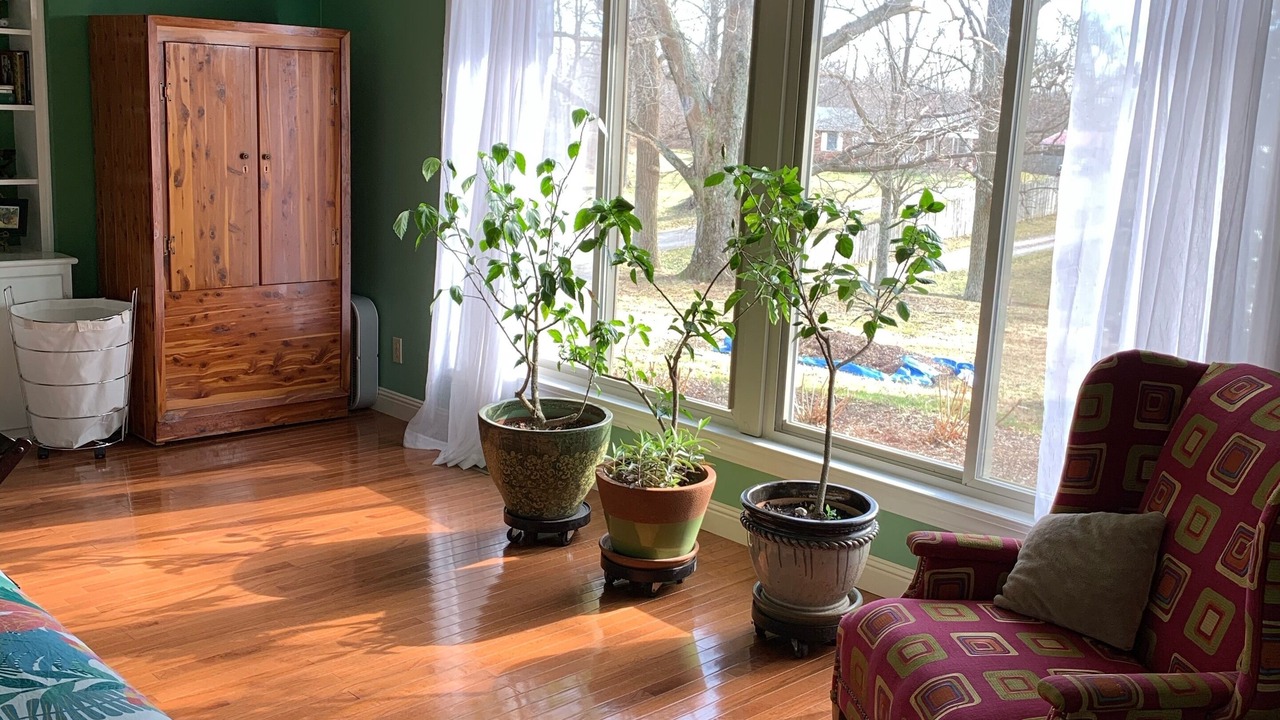 Photo of Others in Madison