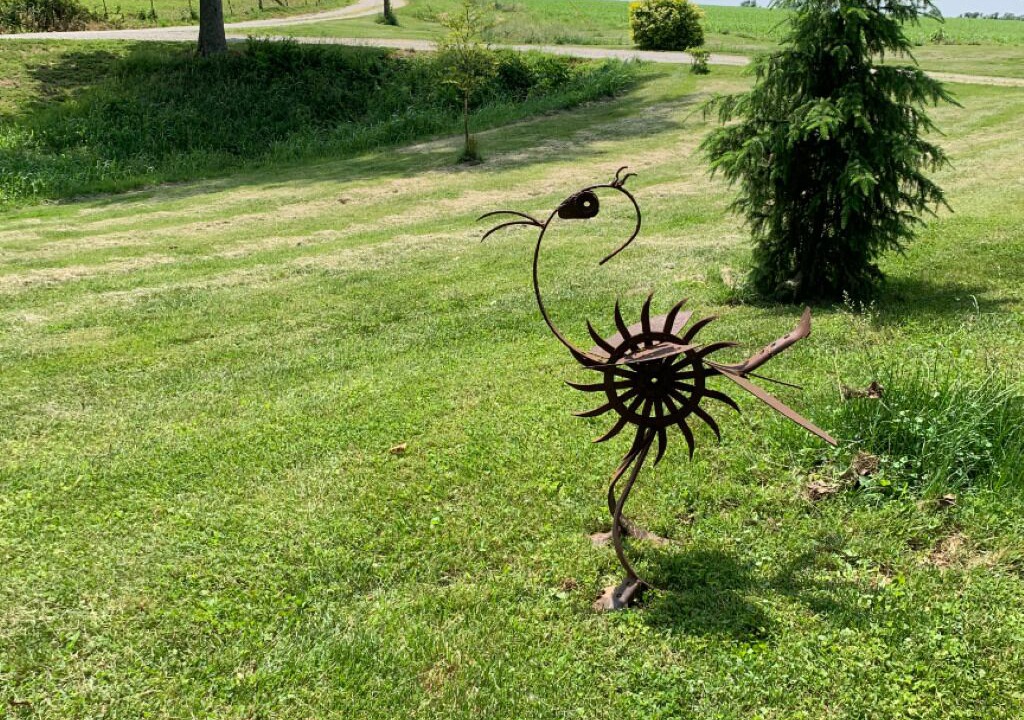 Photo of Outdoor in Madison