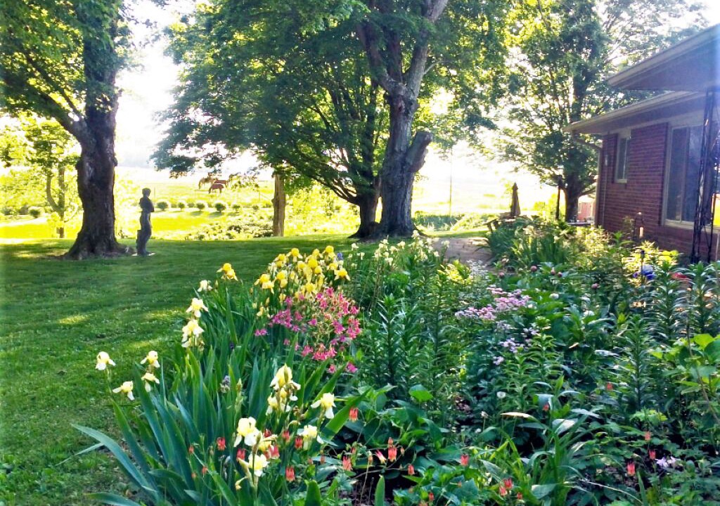 Photo of Outdoor in Madison