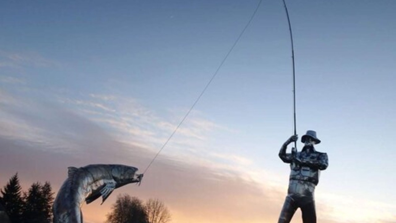 Photo of Others in Navarrenx