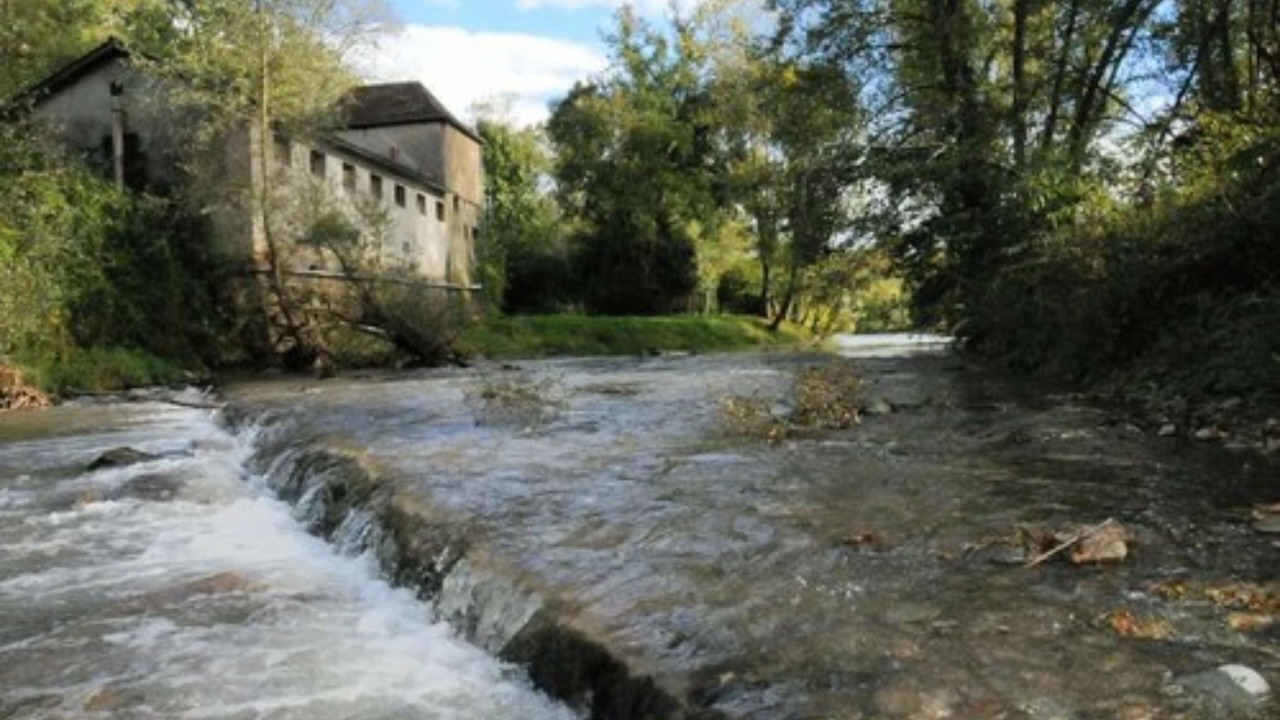 Photo of Others in Navarrenx