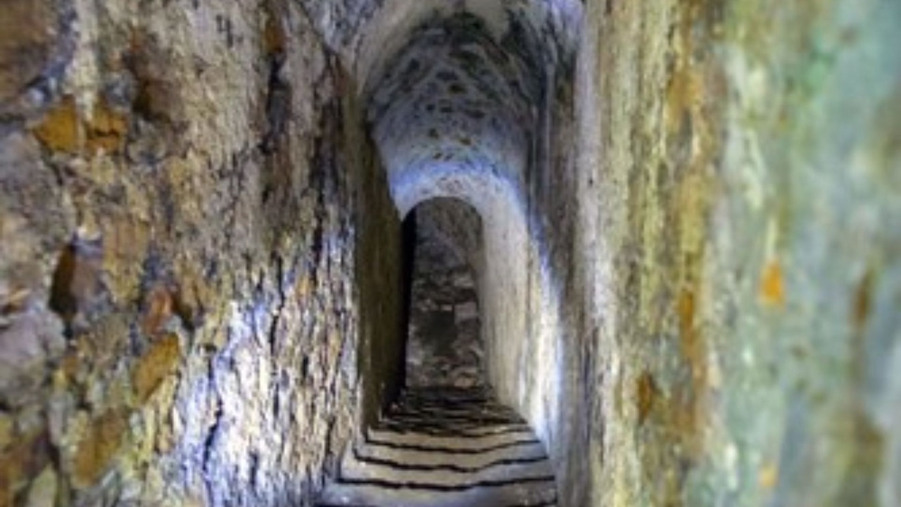 Photo of Others in Navarrenx