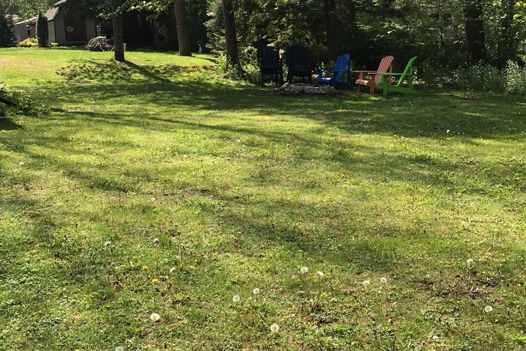 Photo of Others in Point Clark