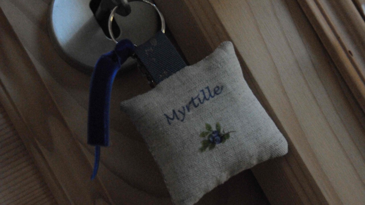 Photo of Bedroom in Voussac