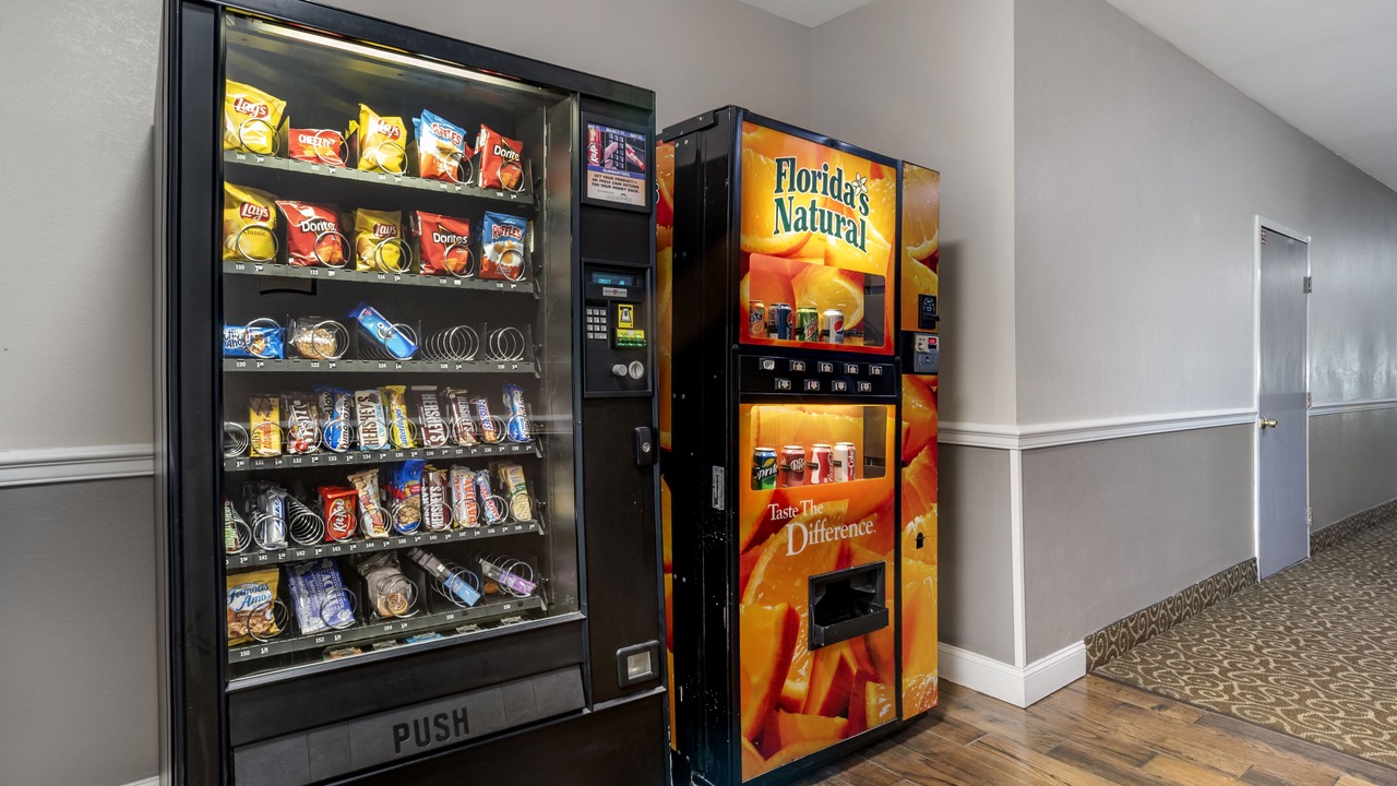 Photo of Others in Moultrie