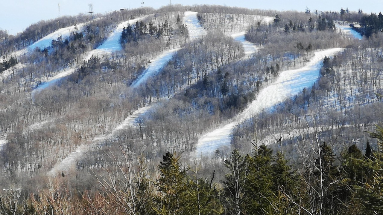 Photo of Others in Central Hainesville