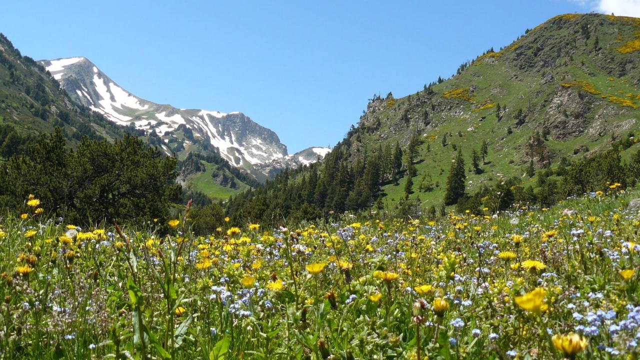Photo of Outdoor in Llo