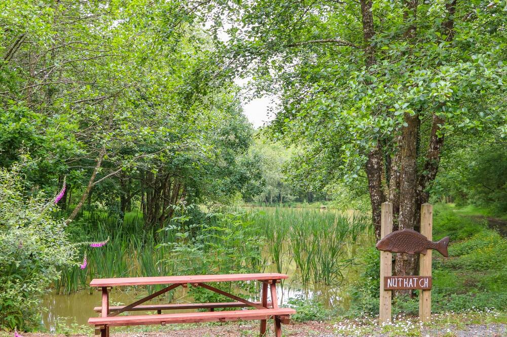 Photo of Outdoor in Beaworthy