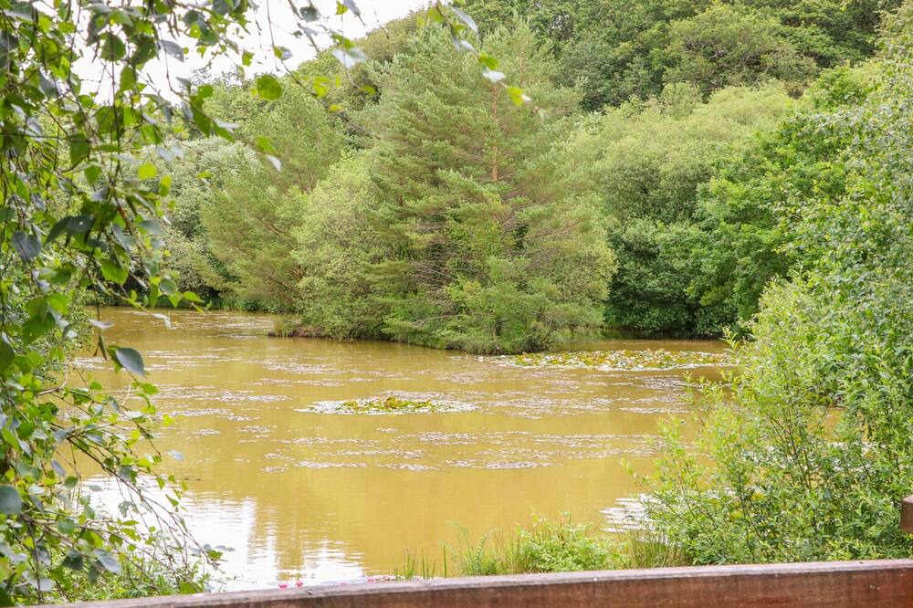 Photo of Outdoor in Beaworthy