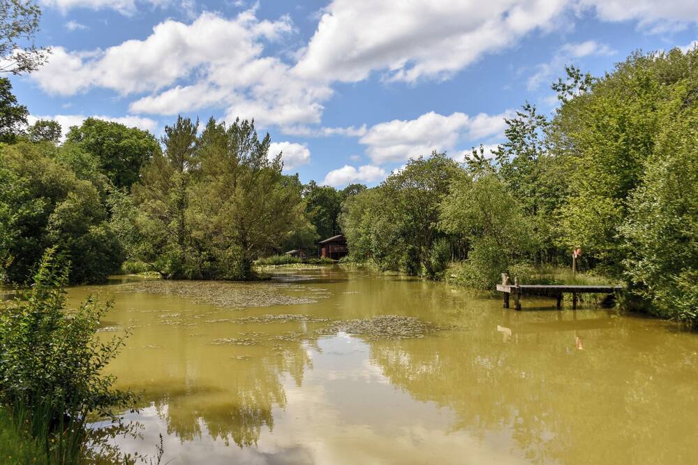 Photo of Outdoor in Beaworthy