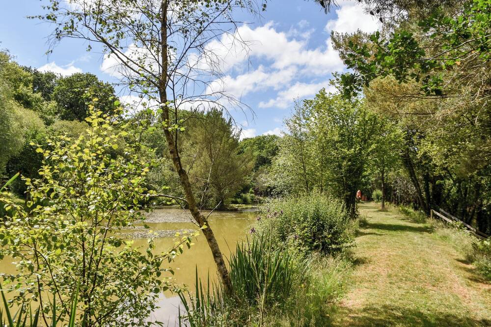 Photo of Others in Beaworthy