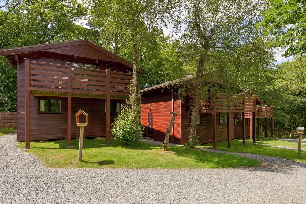 Photo of Outdoor in Beaworthy