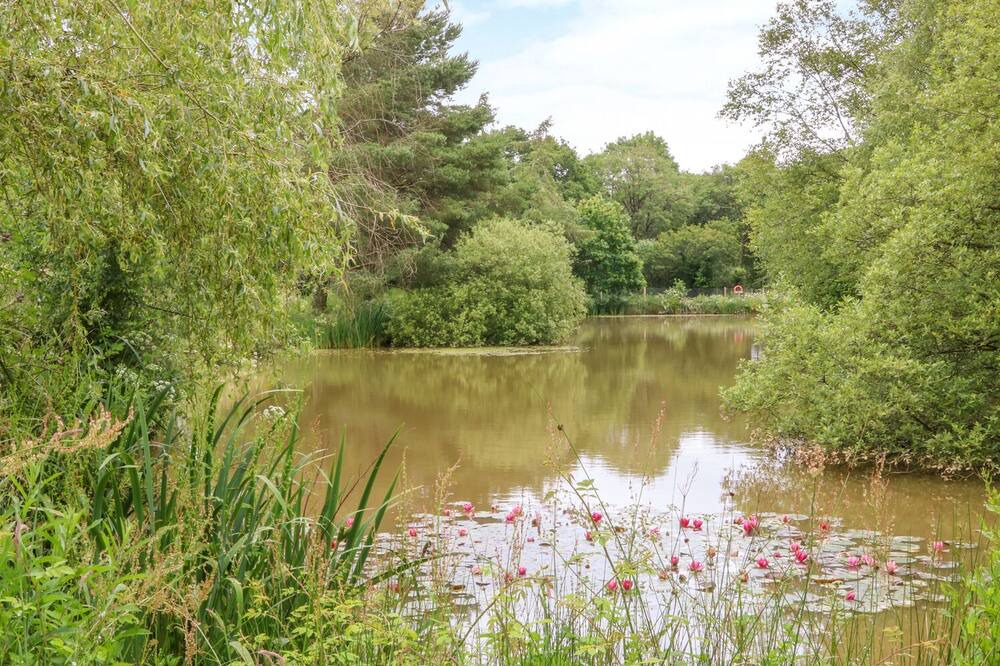 Photo of Outdoor in Beaworthy