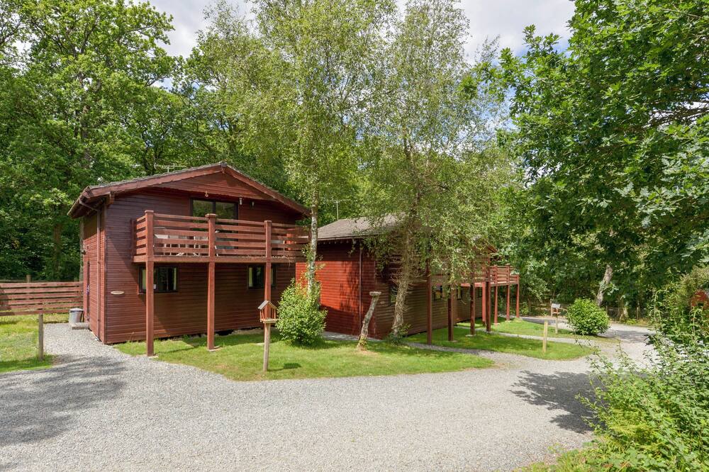 Photo of Outdoor in Beaworthy