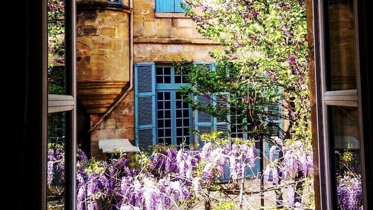 Photo of Others in Sarlat-la-Caneda Historic Center