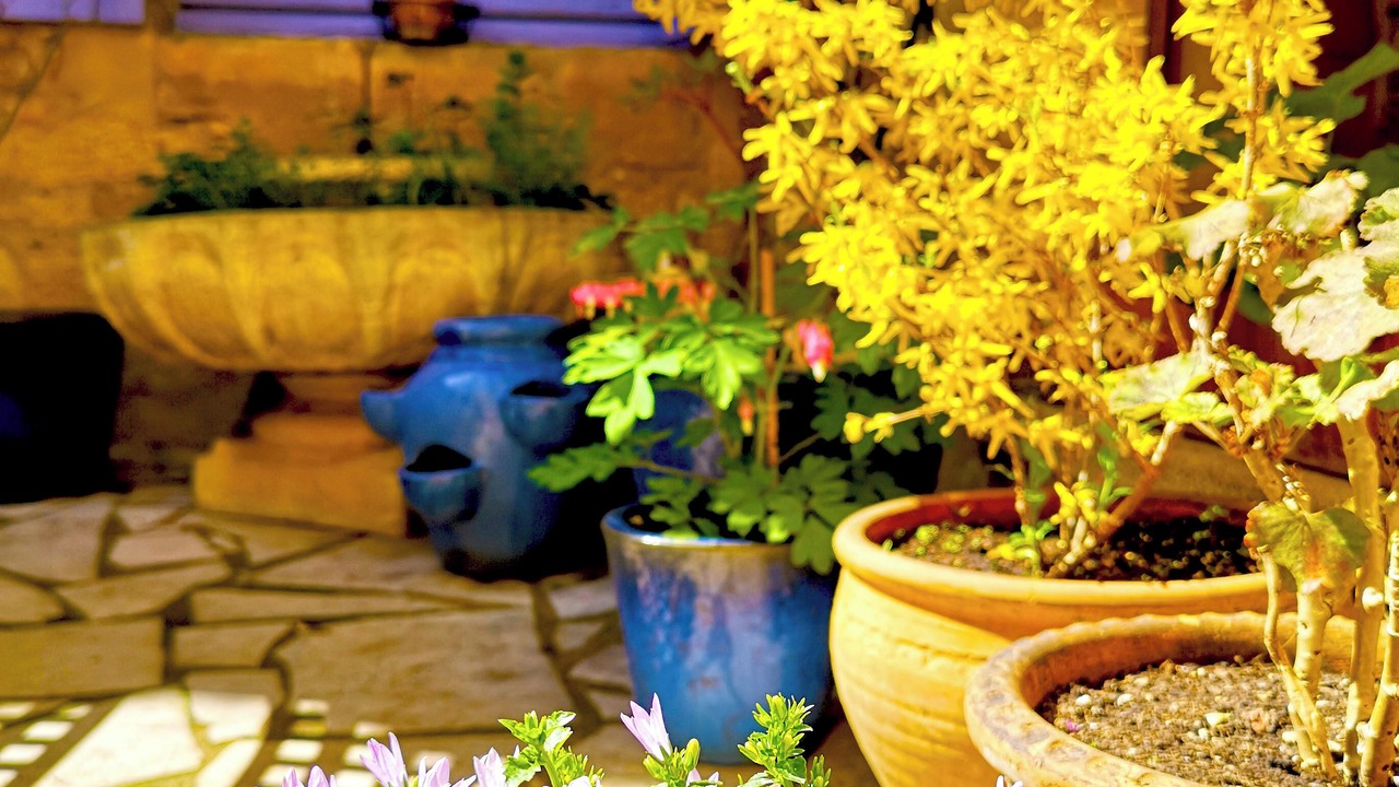 Photo of Outdoor in Sarlat-la-Caneda Historic Center