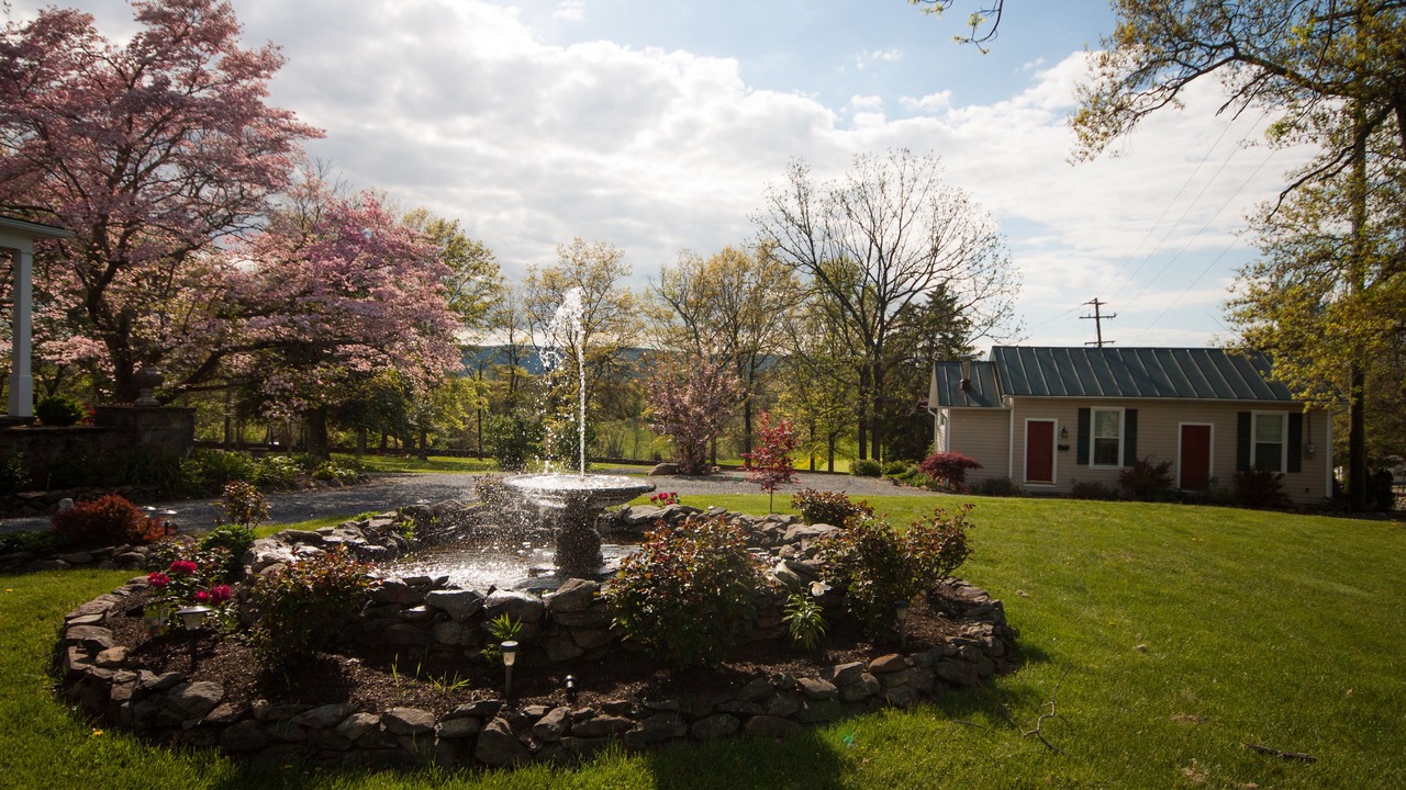 Photo of Outdoor in Blue Ridge