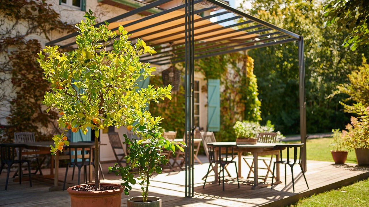 Photo of Patio Balcony in Castets